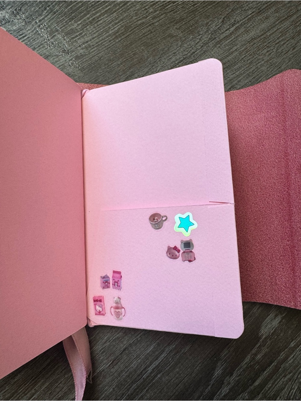 Strawberry Pink Notra Journal with full set up & customized. - Picture 9 of 13